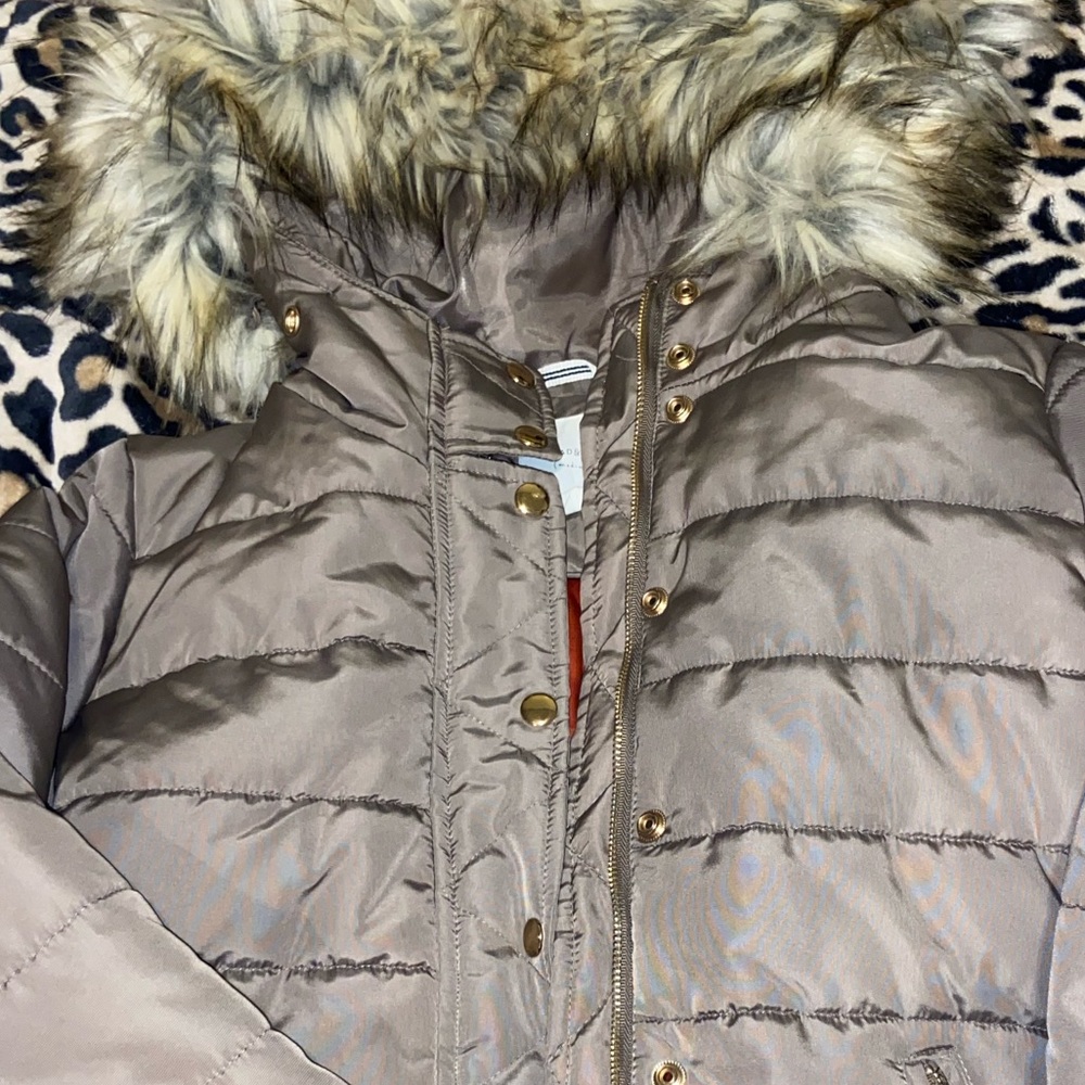 Jacket - Picture 2 of 5